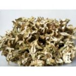 Купить Trichocereus pachanoi (Кактус Сан-Педро) 150 грамм